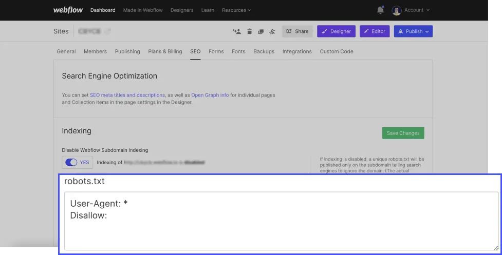 Robots.txt Webflow