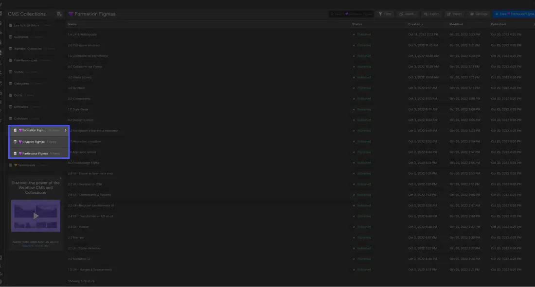 Aperçu de quelques collections CMS sur Webflow
