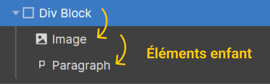 éléments enfants dans la hiérarchie Webflow