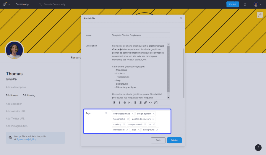 parametrage de partage de projet figma avec focus sur l'ajout de tags