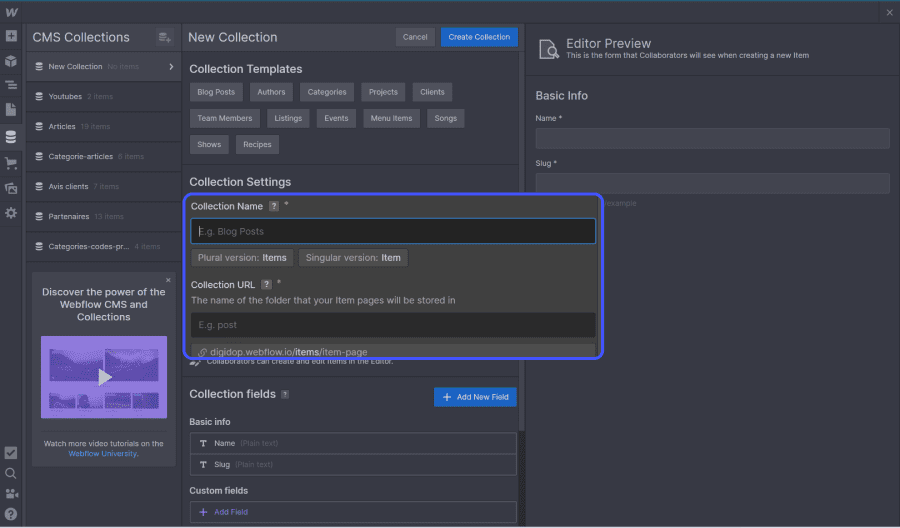 Collection du CMS webflow avec champs name et url entourés en bleu