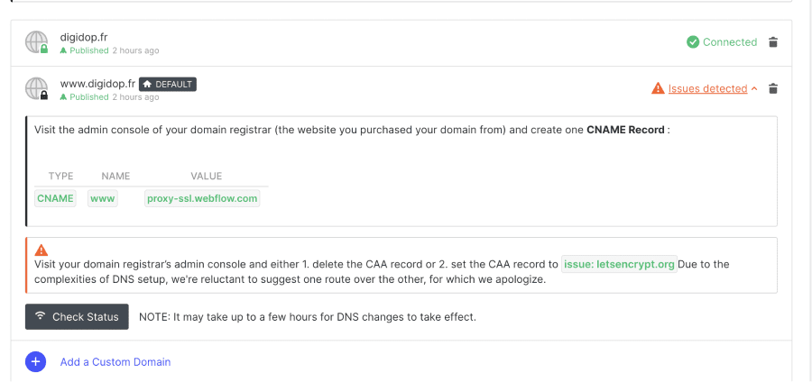 Hosting settings Webflow - Un connected, un avec Issues detected