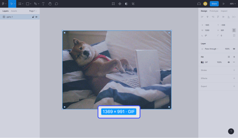 éditeur figma avec dimension de gif entourées en bleu