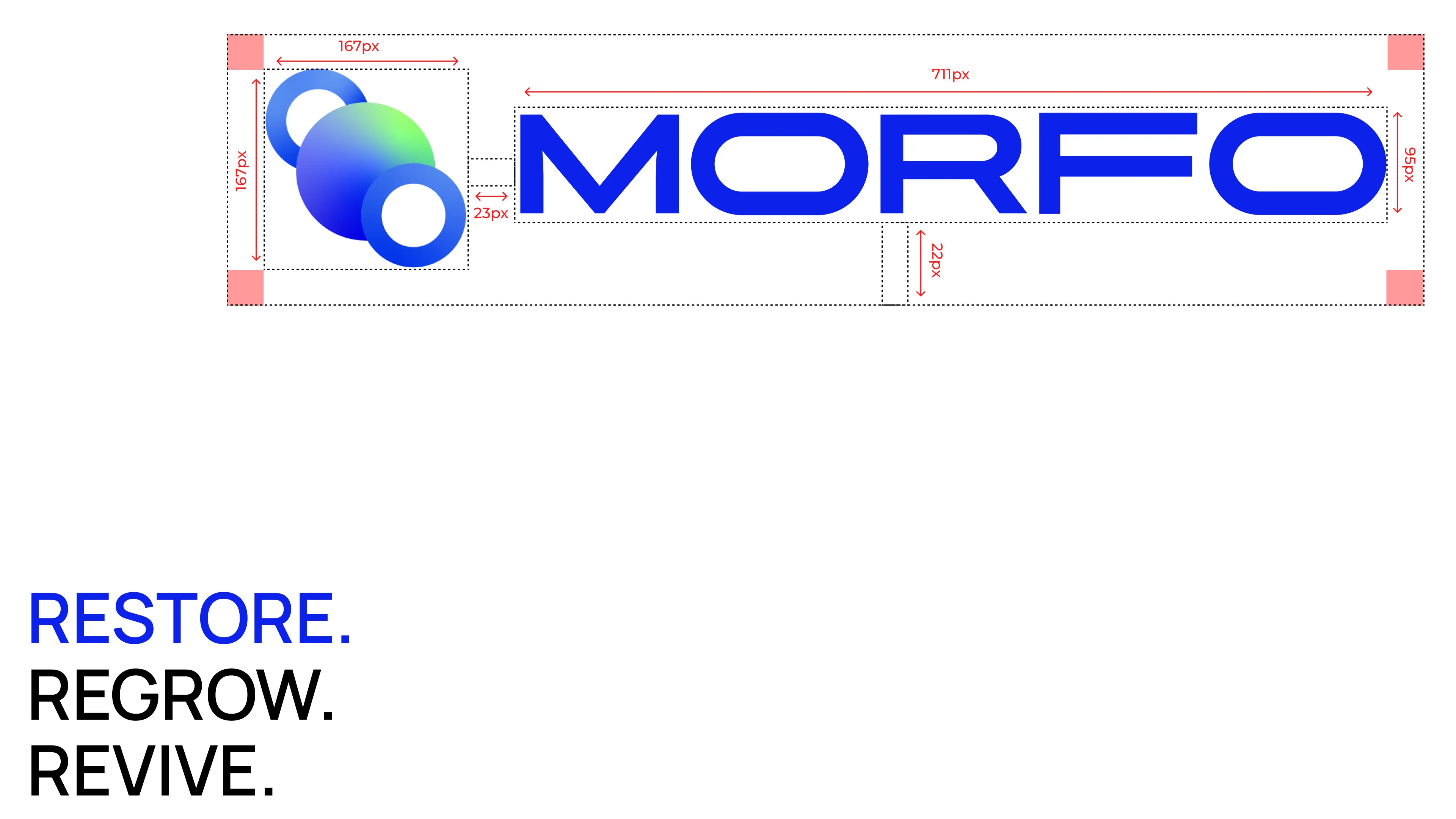 Logo de Morfo avec indications de dimensions et espacement, accompagné de la tagline “Restore. Regrow. Revive.”