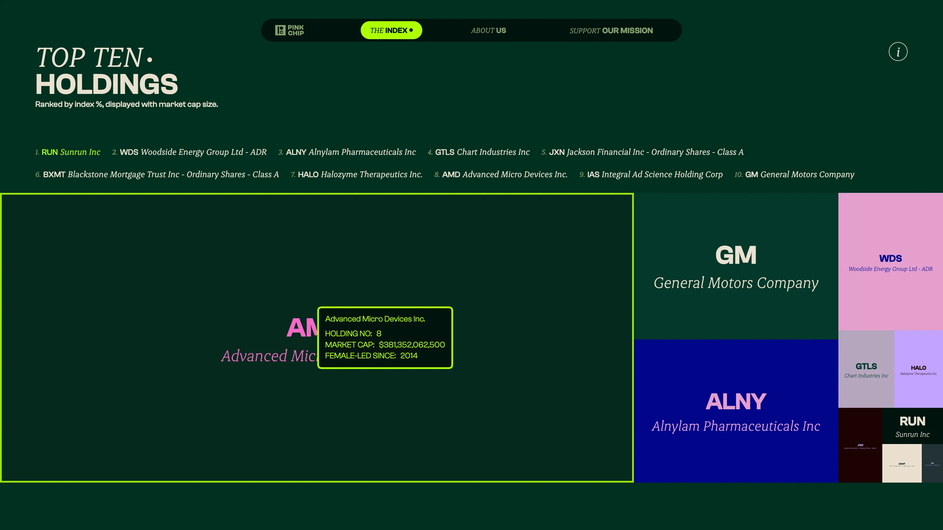 Visualisation du site Pink Chip Index présentant les dix principales positions classées par capitalisation boursière, dont GM et AMD.