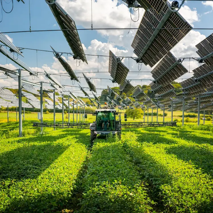 Champ agrivoltaïque avec des rangées de cultures sous des panneaux solaires orientables. Un tracteur circule entre les cultures, illustrant la coexistence de la production agricole et de l’énergie solaire dans un environnement rural.
