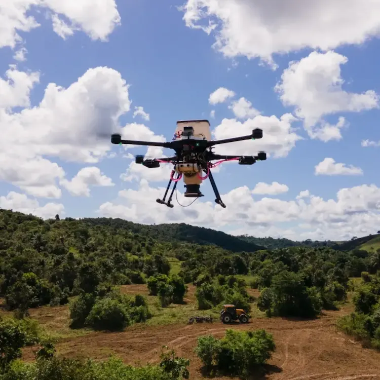 Morfo Drone