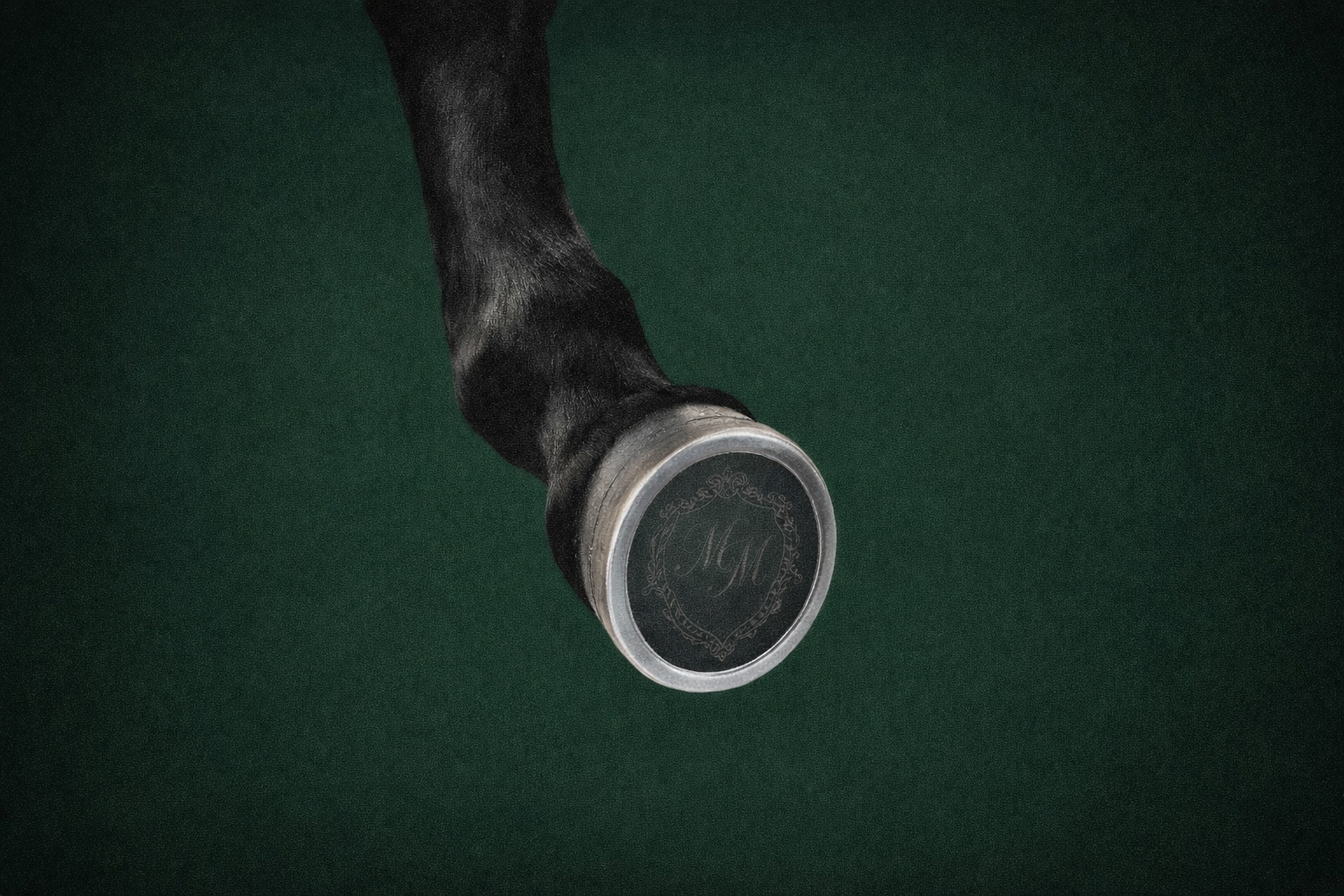 kurs poslovne etikete manir mentor ivana petkovic tripic