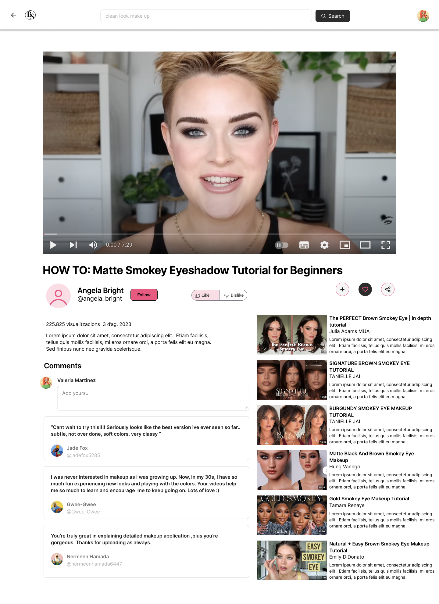 Screnshoot of the video reproduction website of the project.