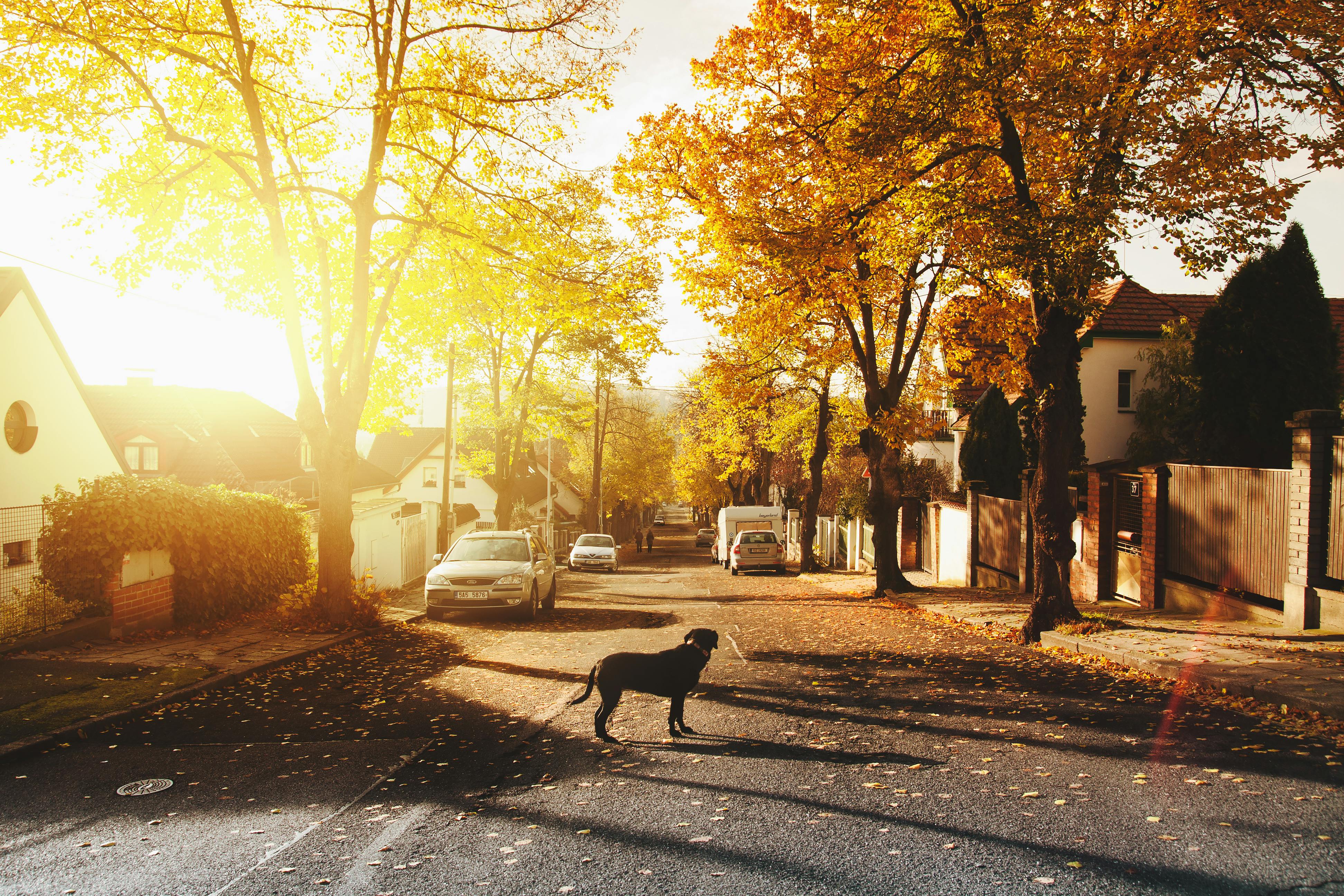 safe sydney suburbs