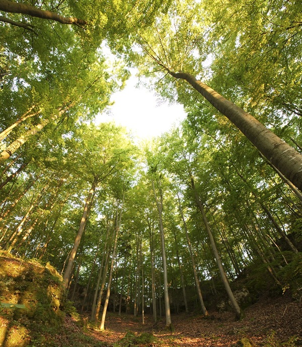 Body and Brain Netzwerkevent im Frankenjura