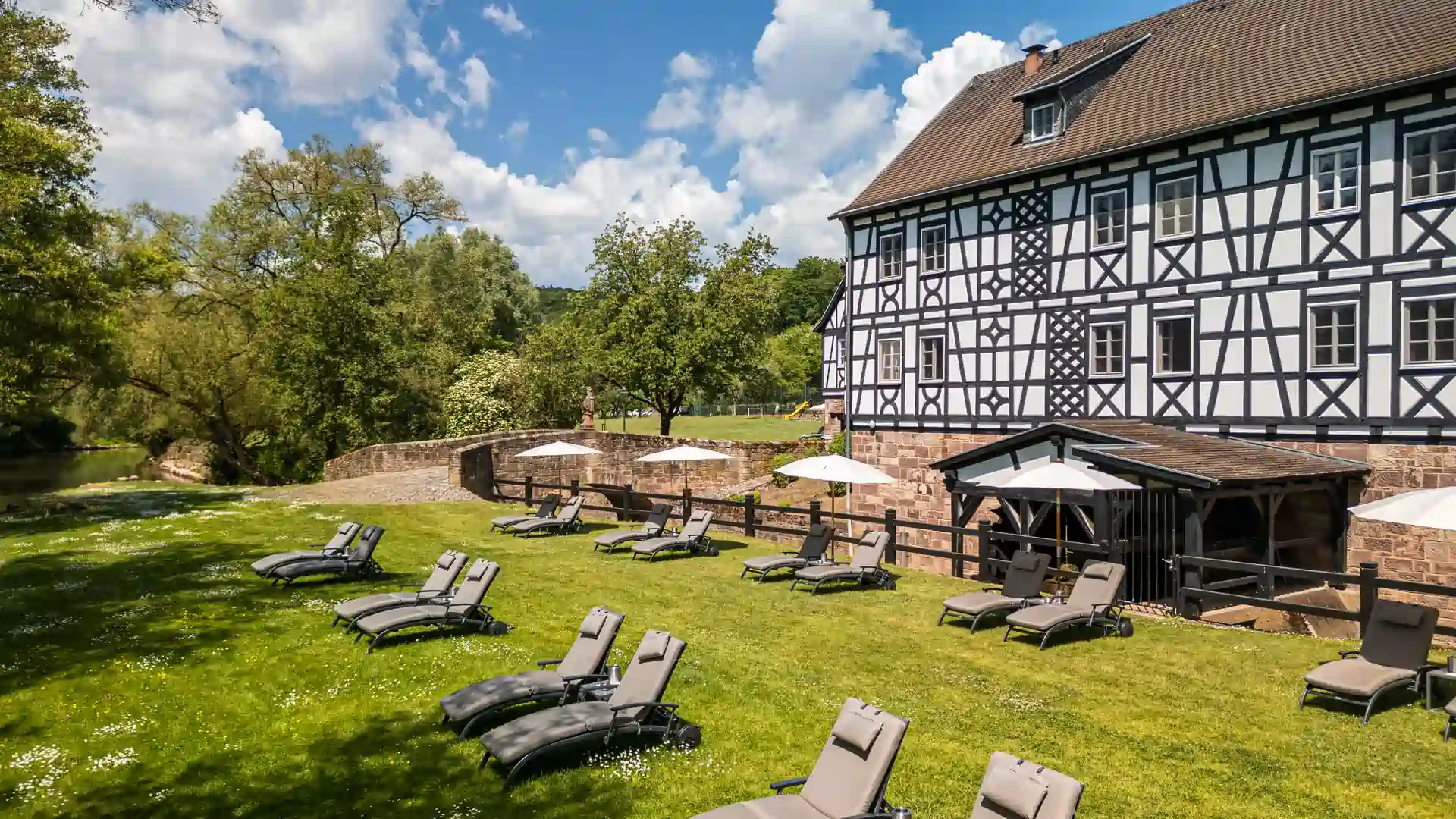 Body & Brain Teilnehmer