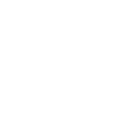 NASM Performance Enhancement Specialization badge
