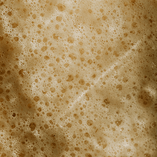 Angel Yeast product used for Brewing and Baking