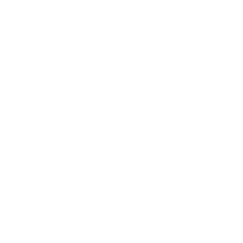 Coast Guard Auxiliary