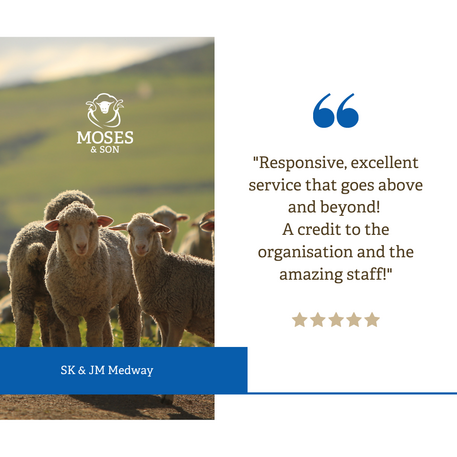 testimonial medway