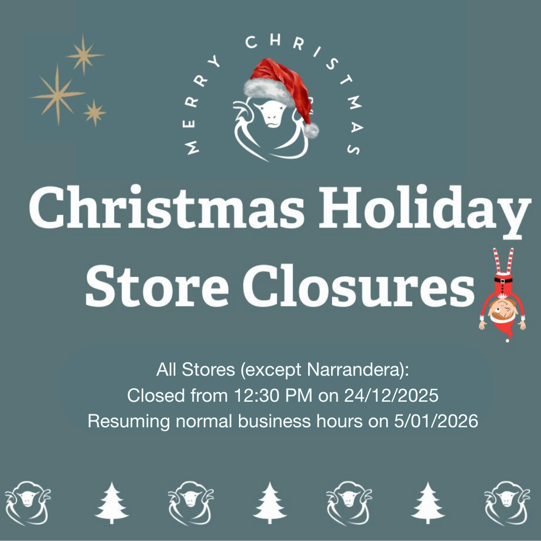 Christmas Hours