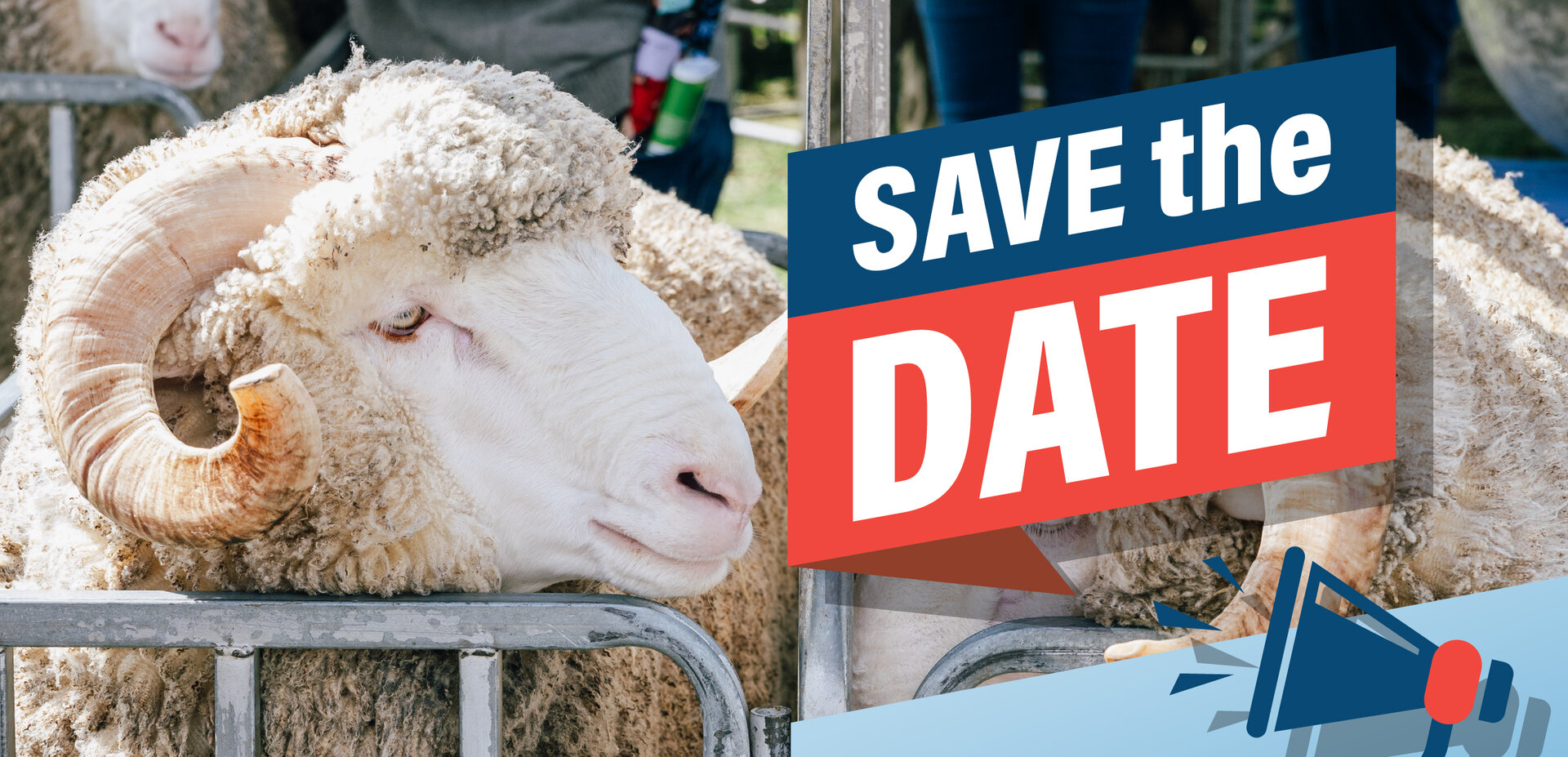 South West Slopes Merino Breeders Field Day 2026