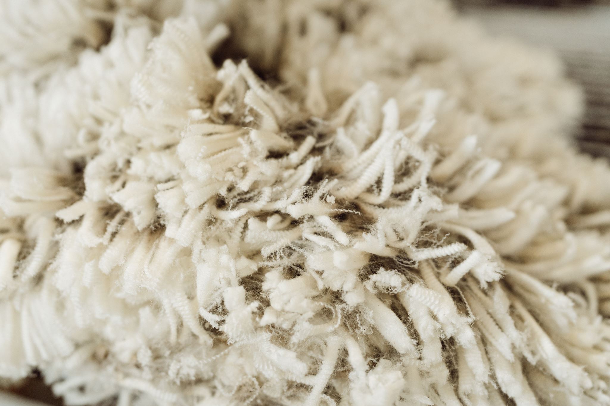 Gordon Litchfield Wool - Breakfast