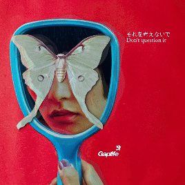 Mirror butterfly gif