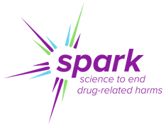 Spark @ Emory logo