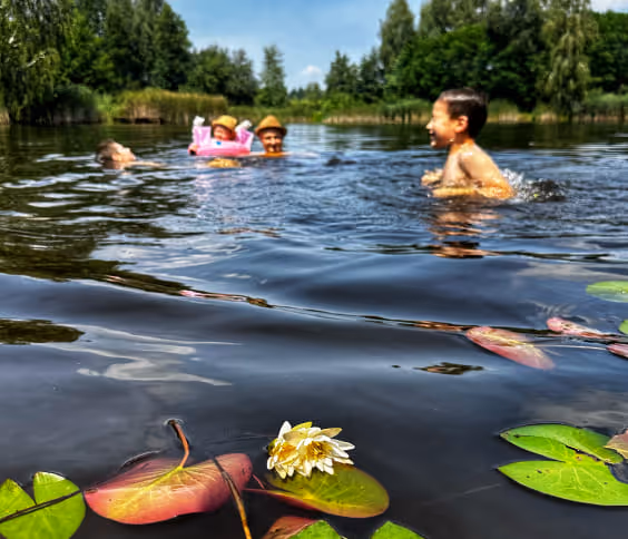 Озеро з піщаним пляжем