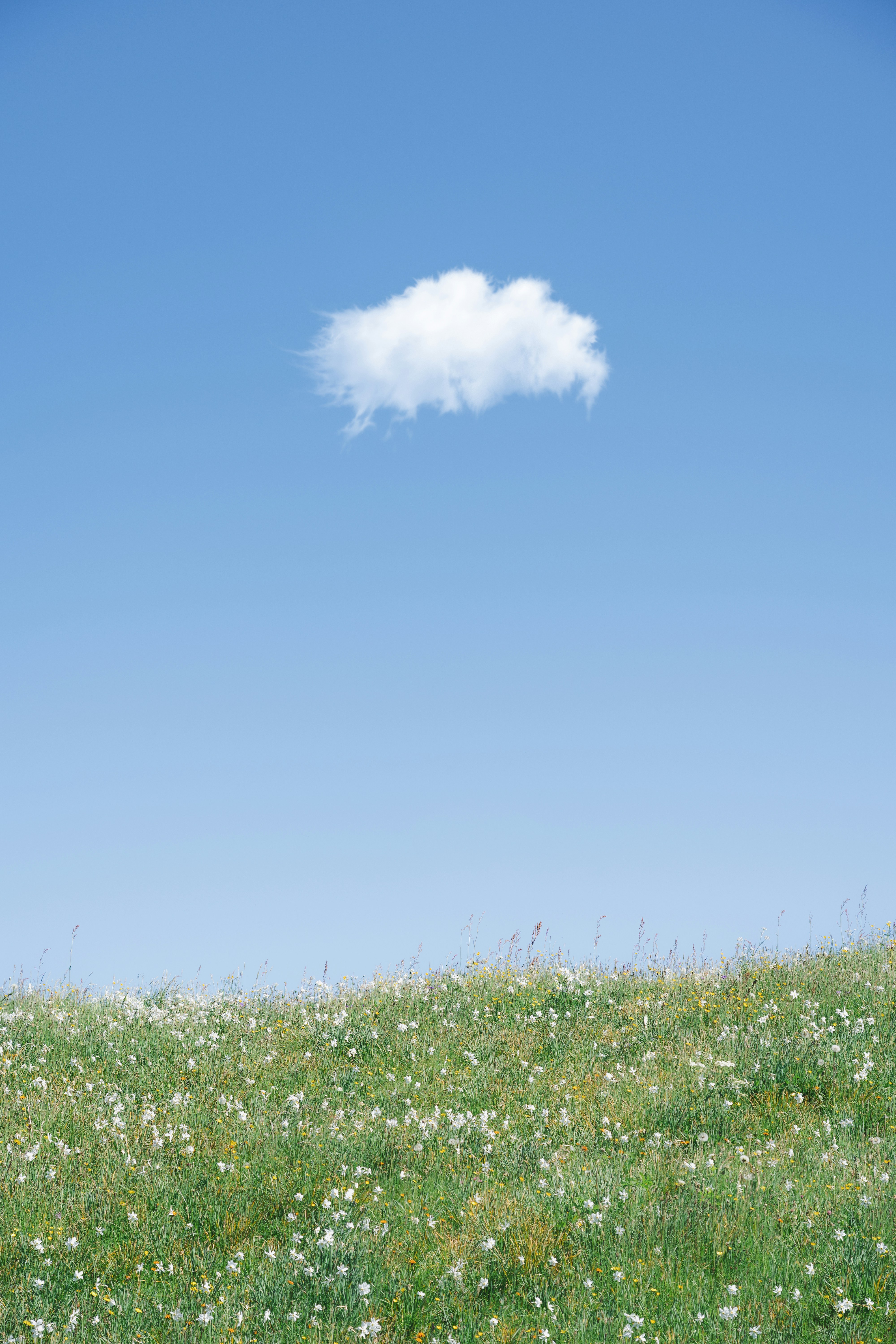 Why Stratus AI Is Leading the Surge in Dental Insurance Verification Companies