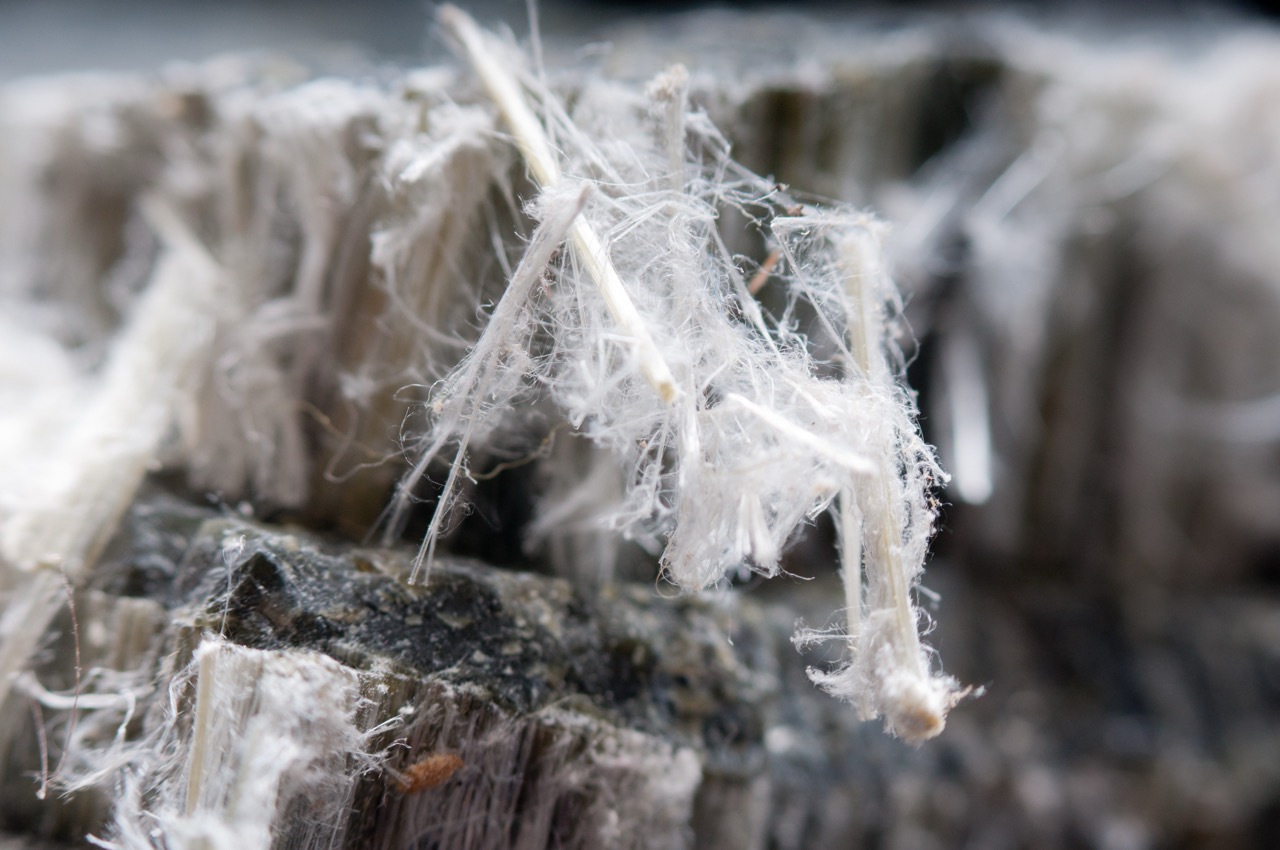Lead & Asbestos