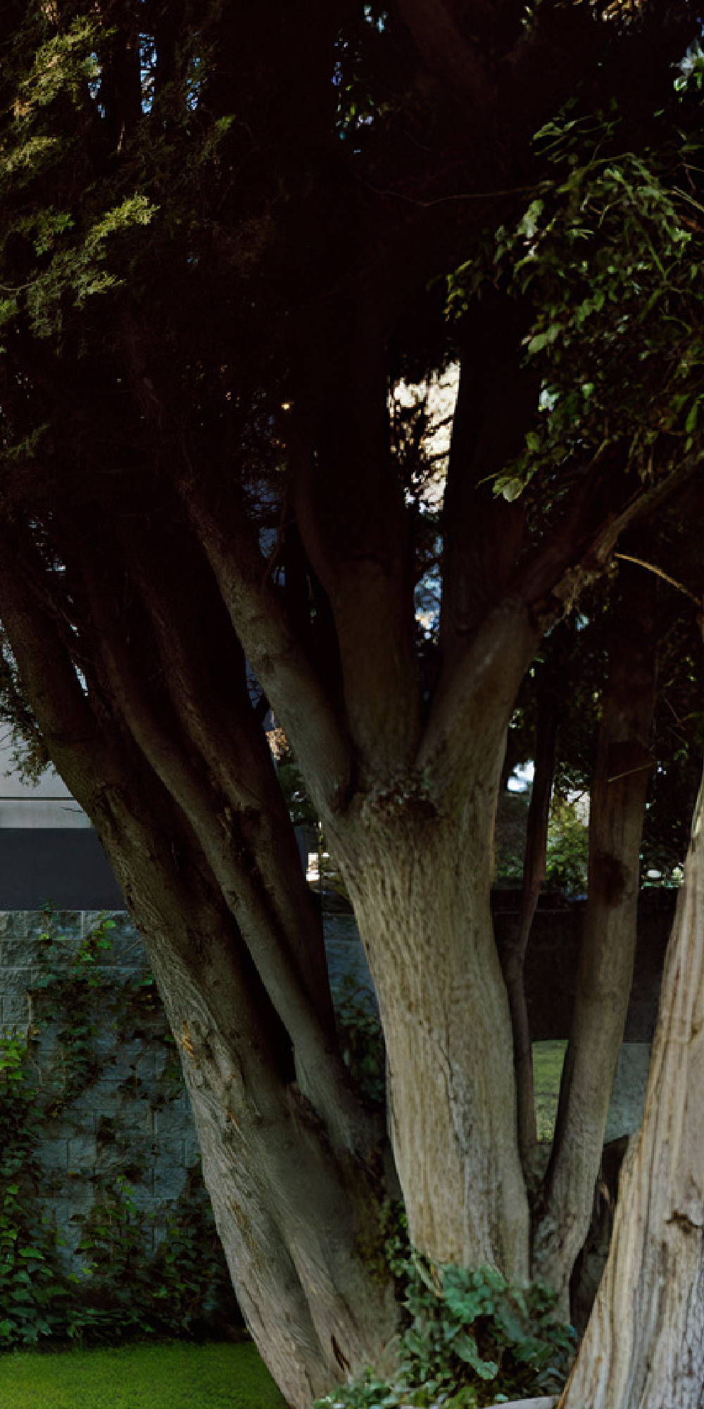 2007_Tres Picos_01-3-100.jpg