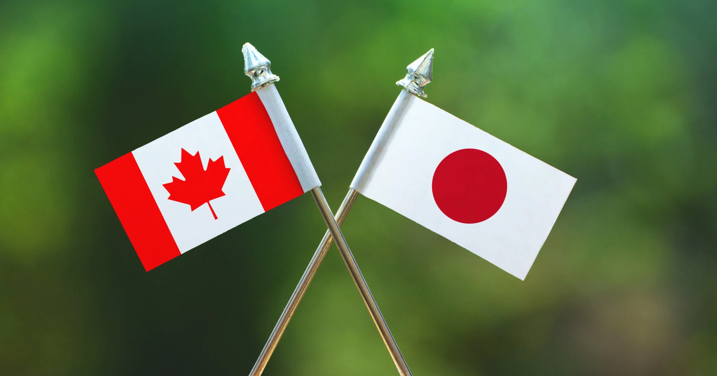 Canadian and Japanese Flag.
