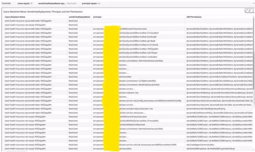 Example Insight: “Show me all IAM principals with access to 'Restrictive' sensitivity datastores and their permission types.”