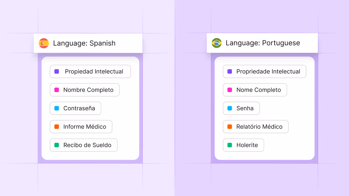 Cyera Portugese and Spanish Classification Support
