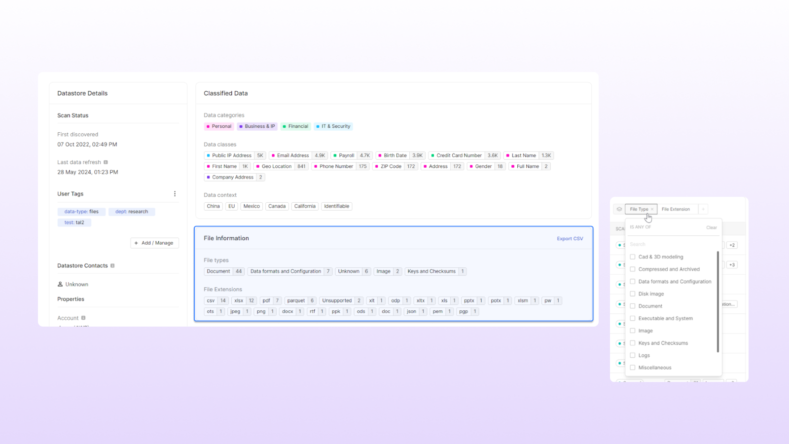 Función mejorada de investigación de extensiones de archivo mostrada en el panel de la plataforma de seguridad de datos de Cyera