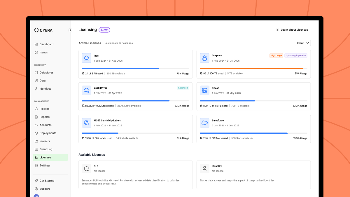 Gráfico animado que ilustra el Centro de Licencias de Cyera