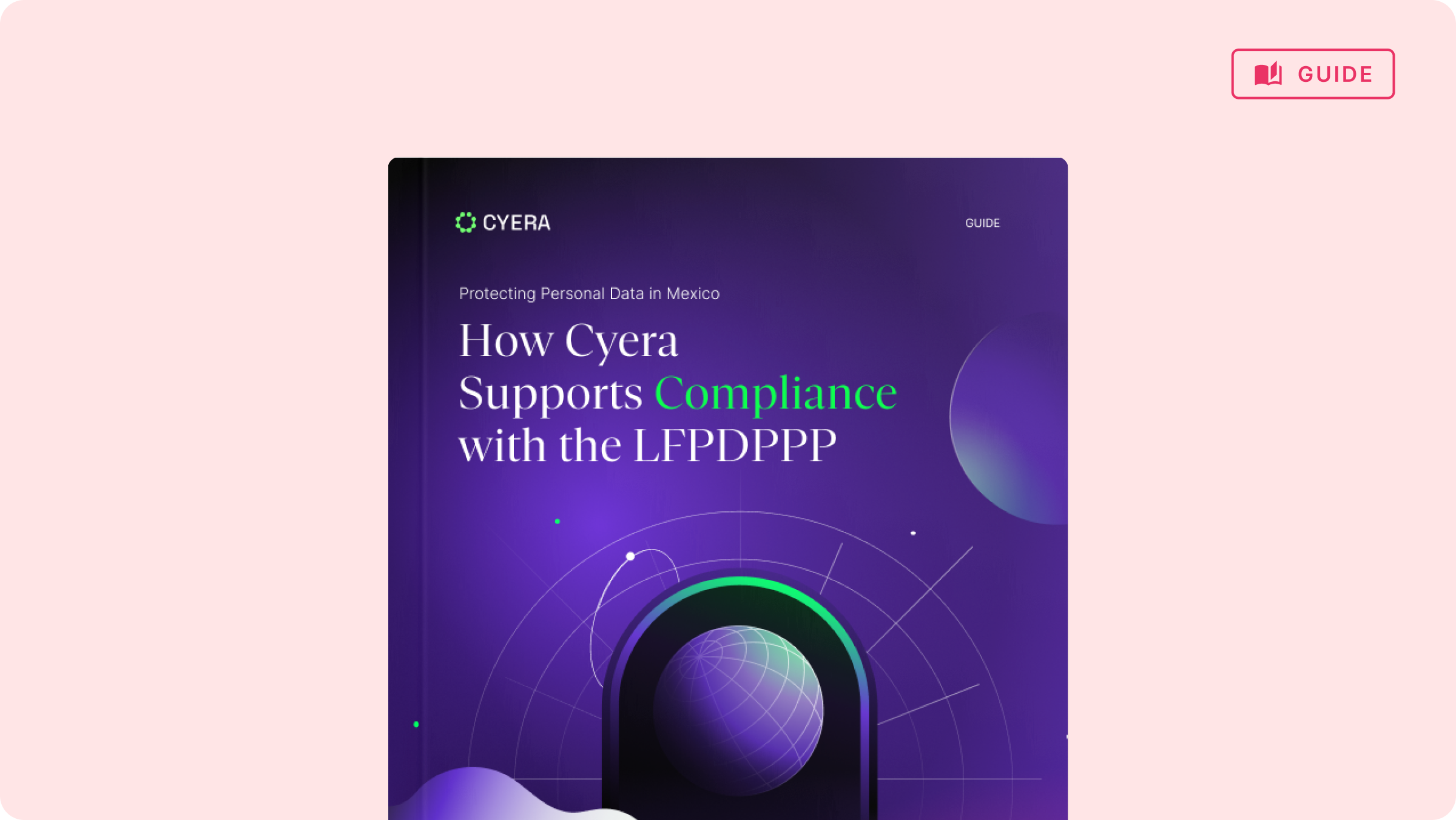 Who Cyera support the maintenance of LFPDPPP