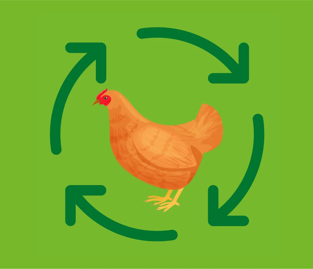 ЗАВОД КОМБИКОРМОВ