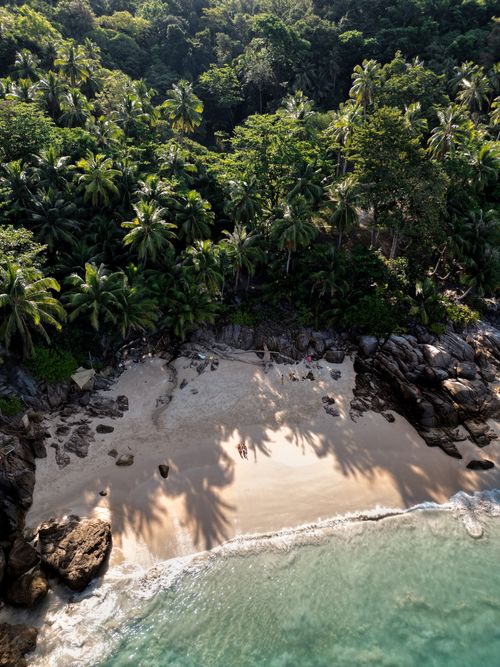 An aerial view of a sandy beach surrounded by trees.