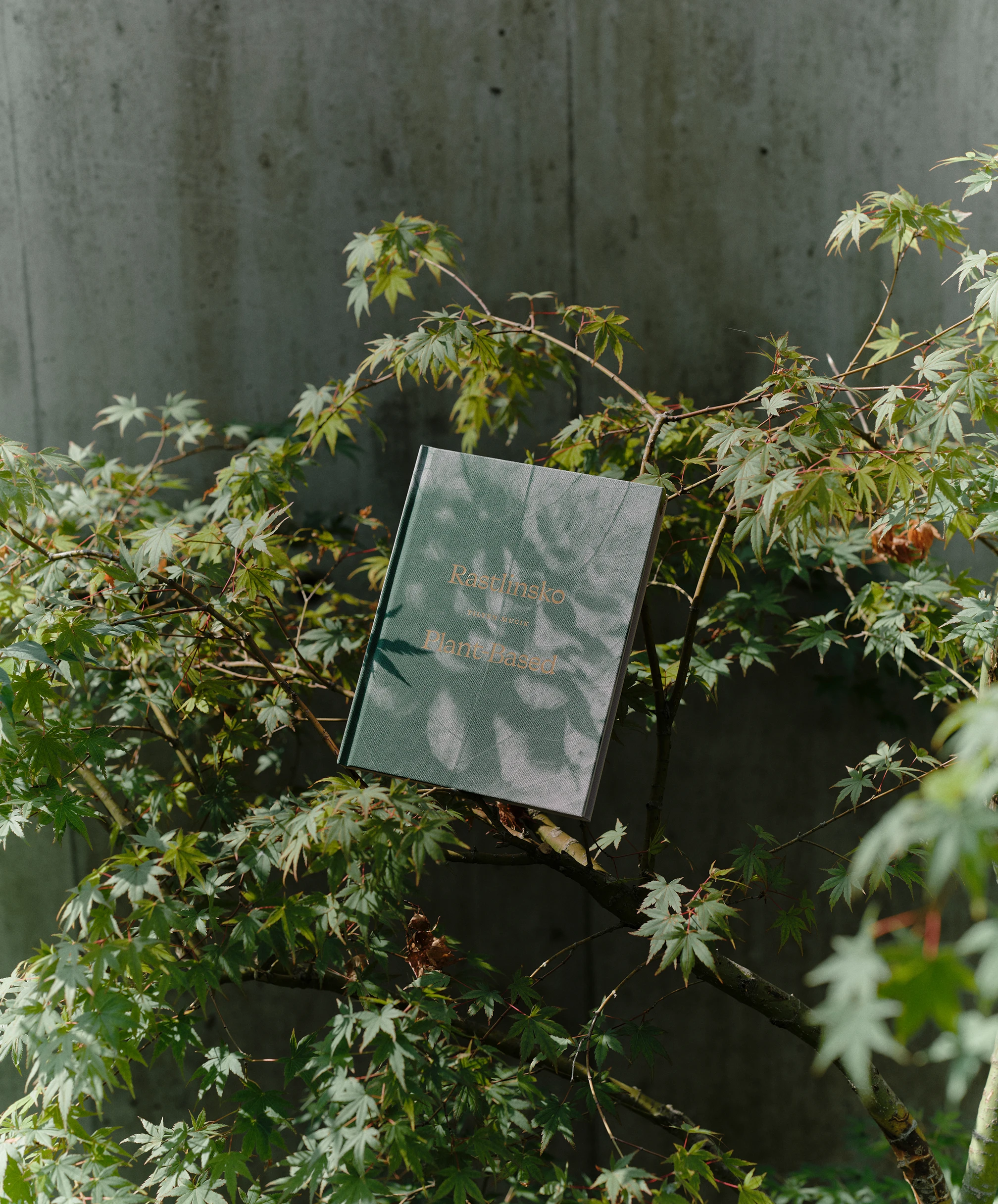 Plant-Based Photography Book