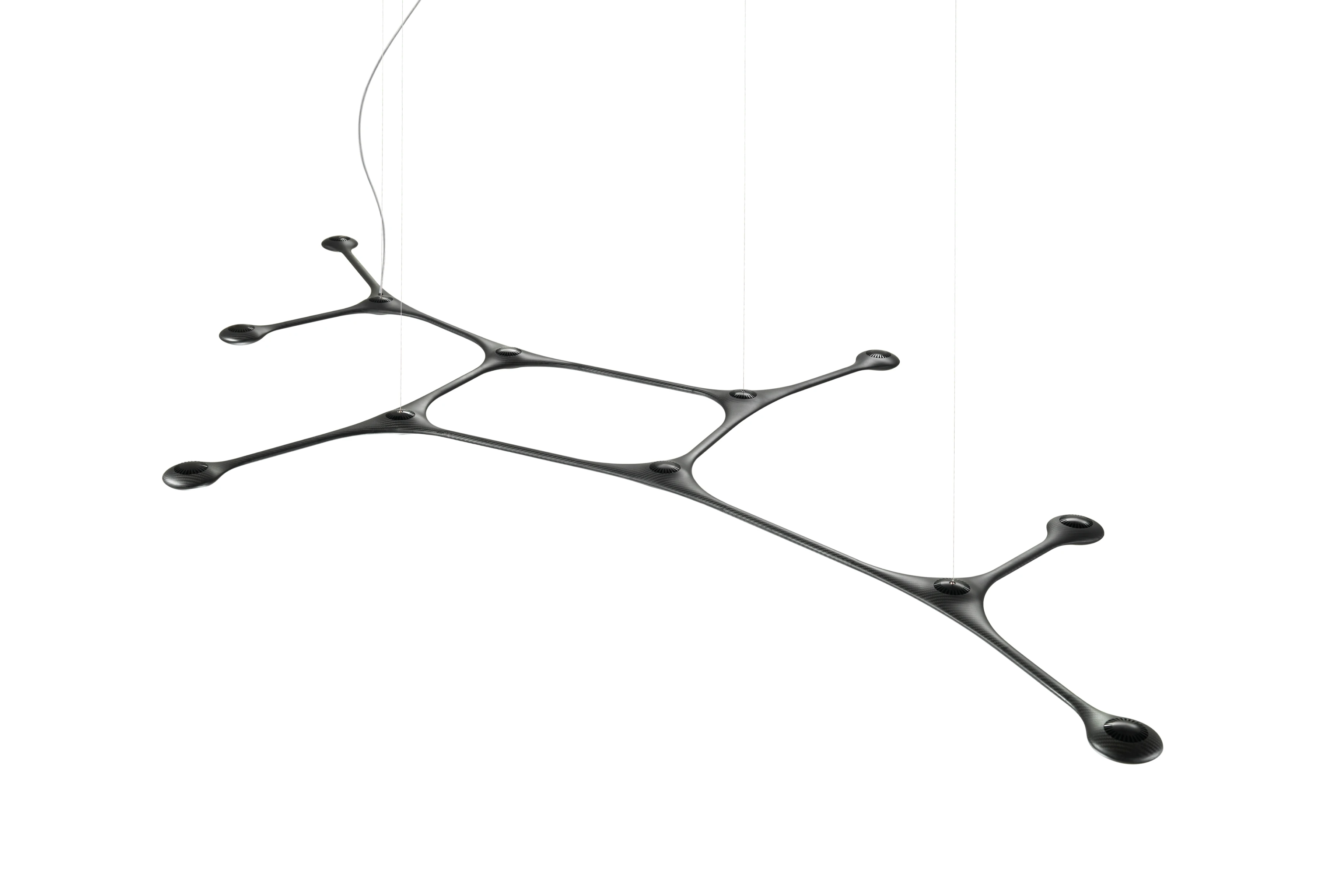 Carbon Light