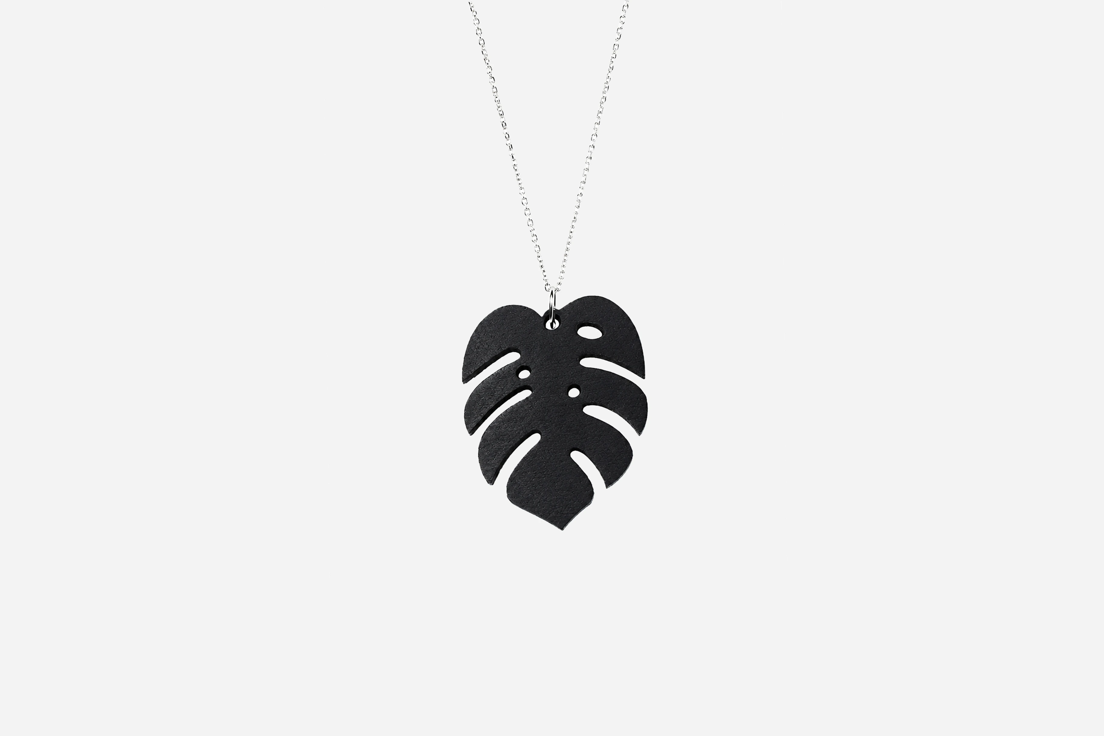 Monstera