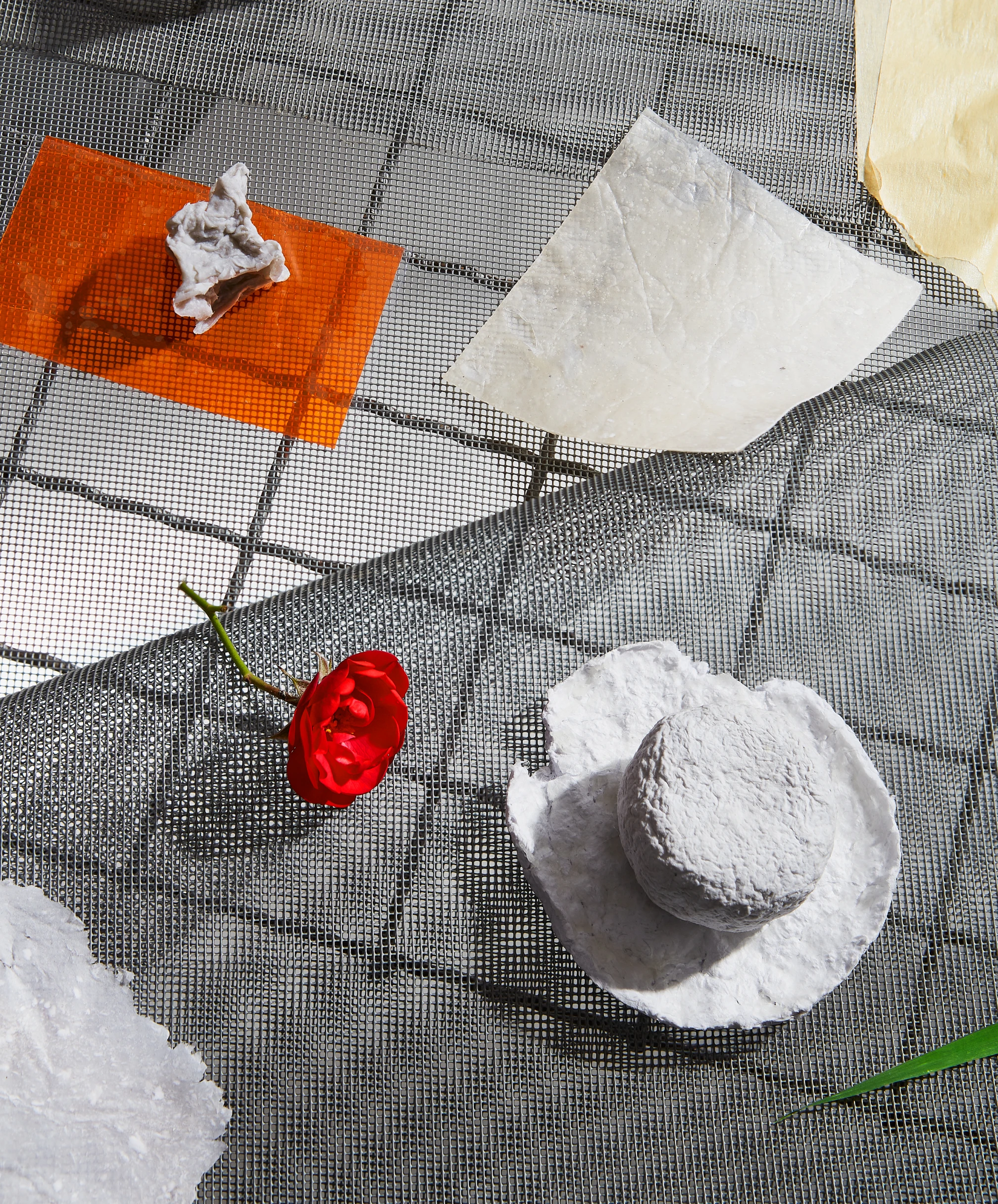 Papir + bioplastika