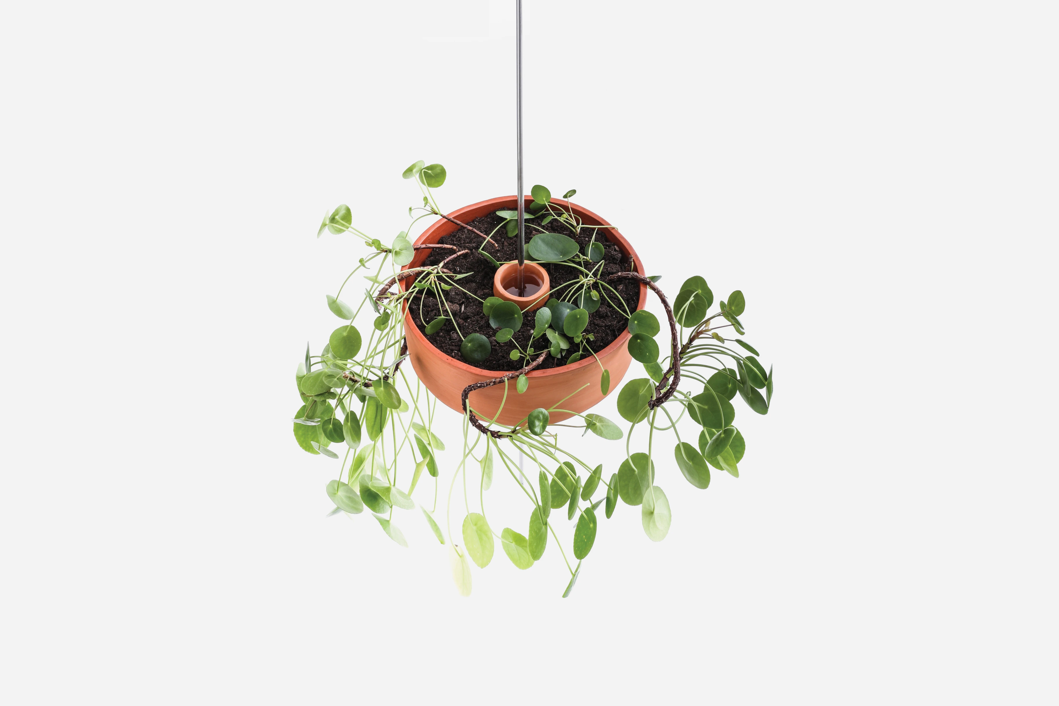 Posoda za sobne rastline Circulum Garden