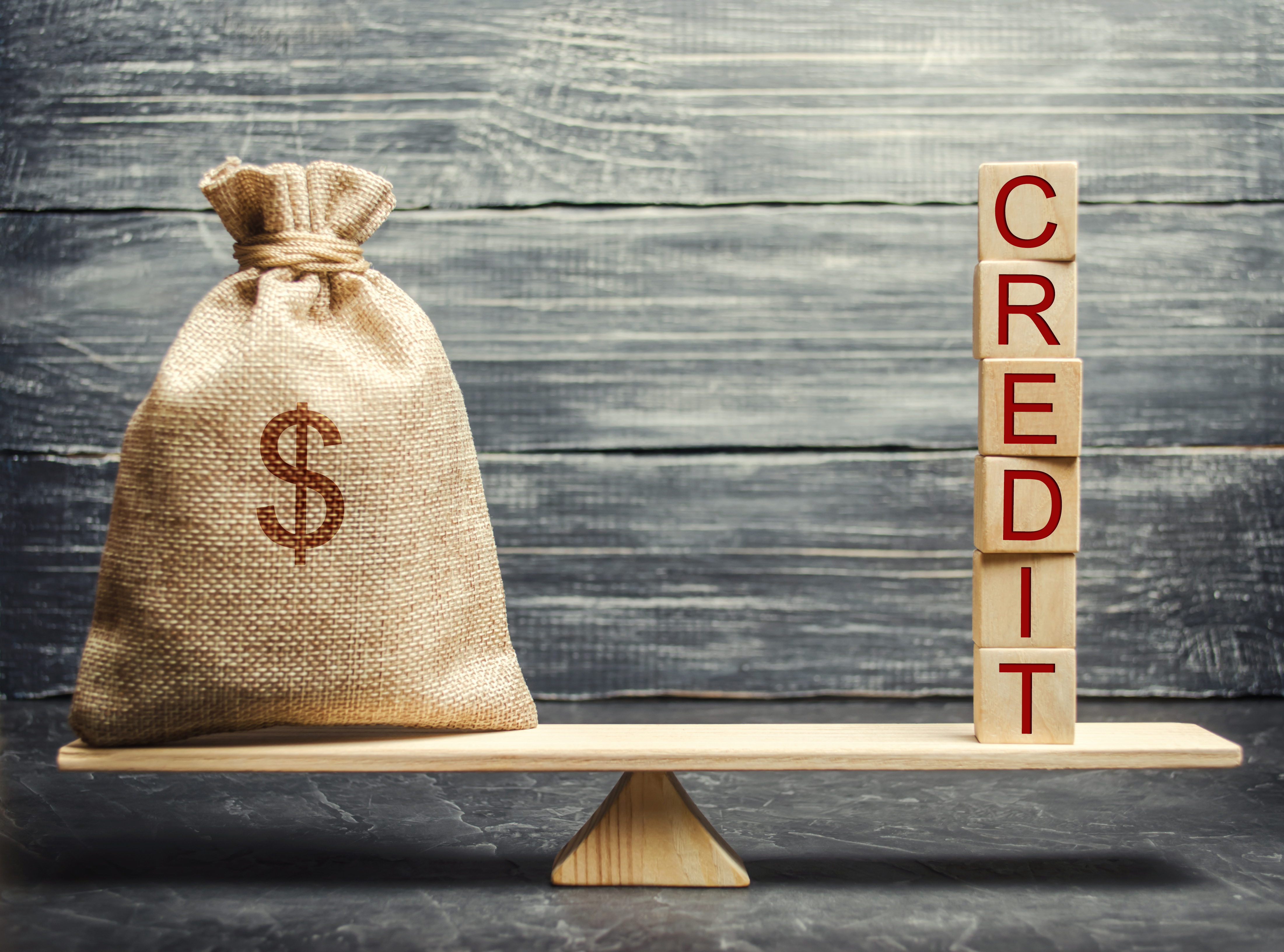 How Entrepreneurs Should Think About Credit in a World of 50-Year Mortgages