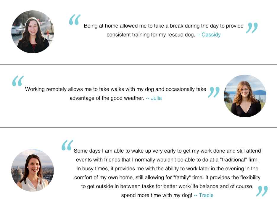 Updated - Cassidy, Julia, Tracie - Flexible Schedule, Time with Pets.png