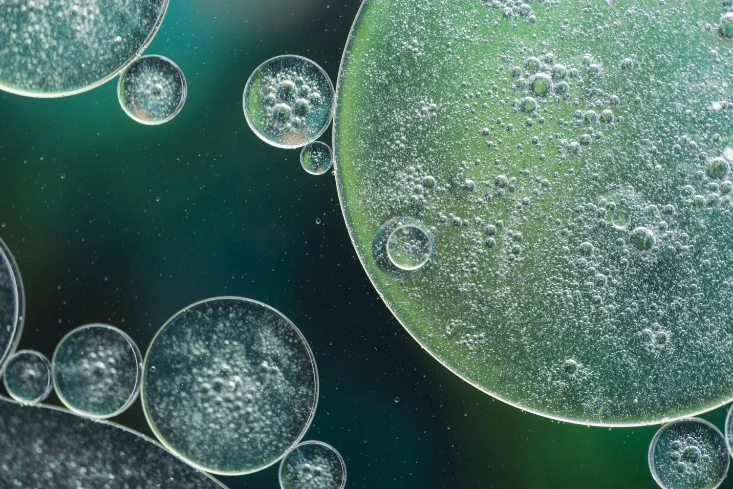 Exosomy v estetické medicíně