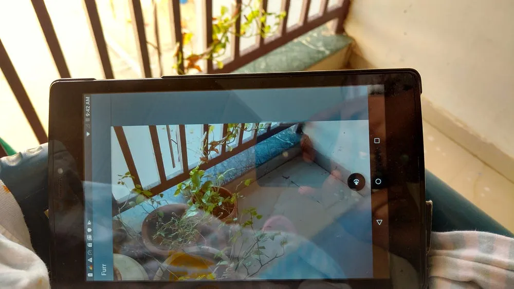 Furr pigeon scaring Android app