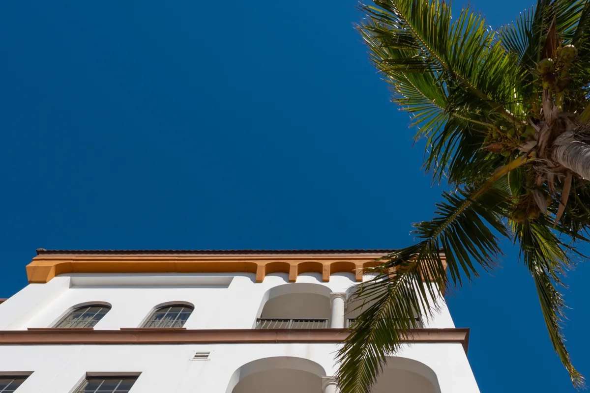 Hotel Zamora's Mediterranean-style building rising behind a palm tree
