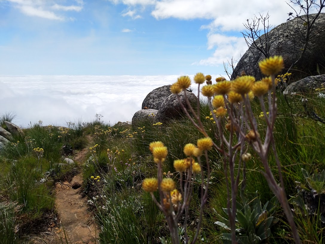 Mountain path above the clouds