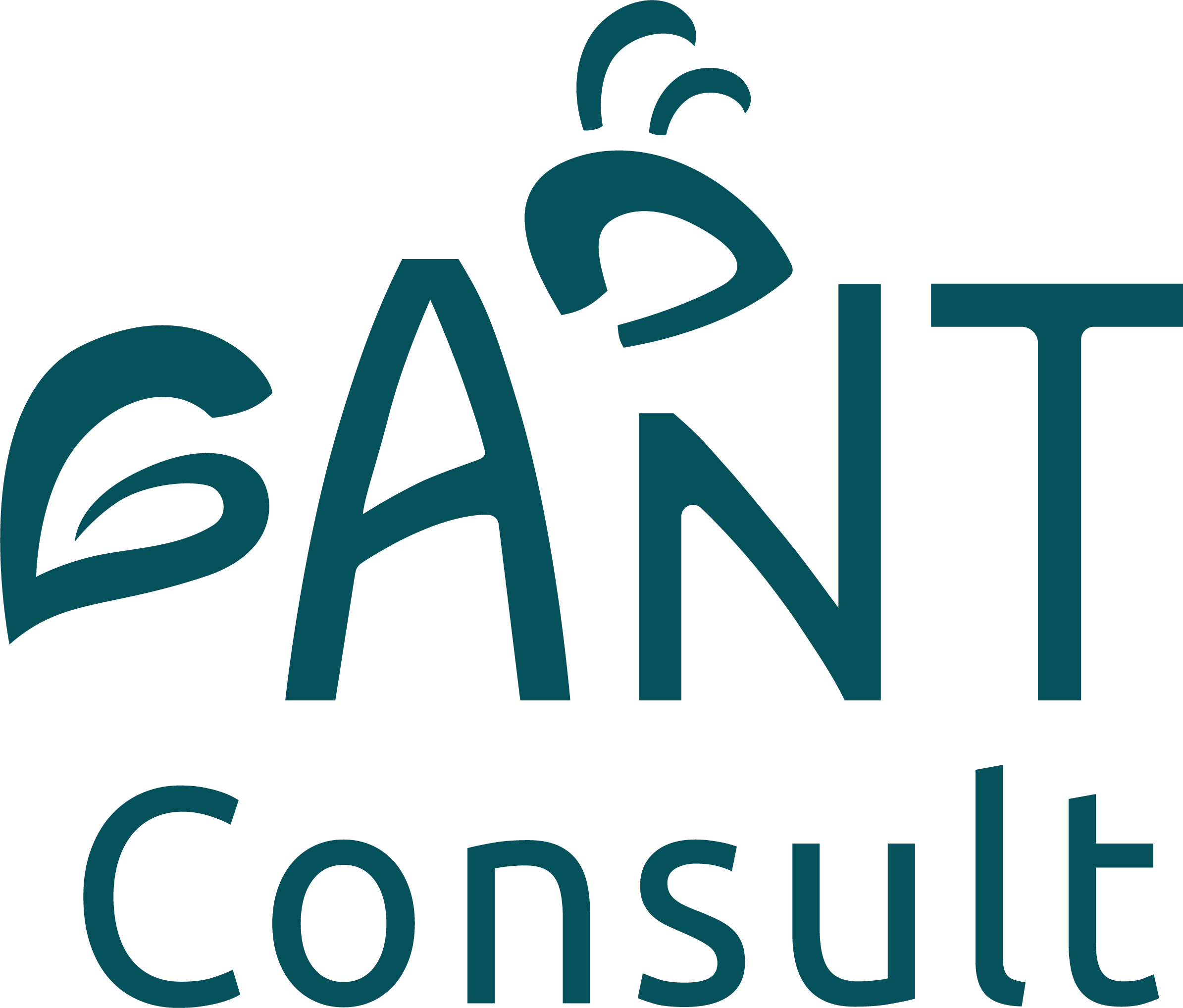 Ant Consult Logo