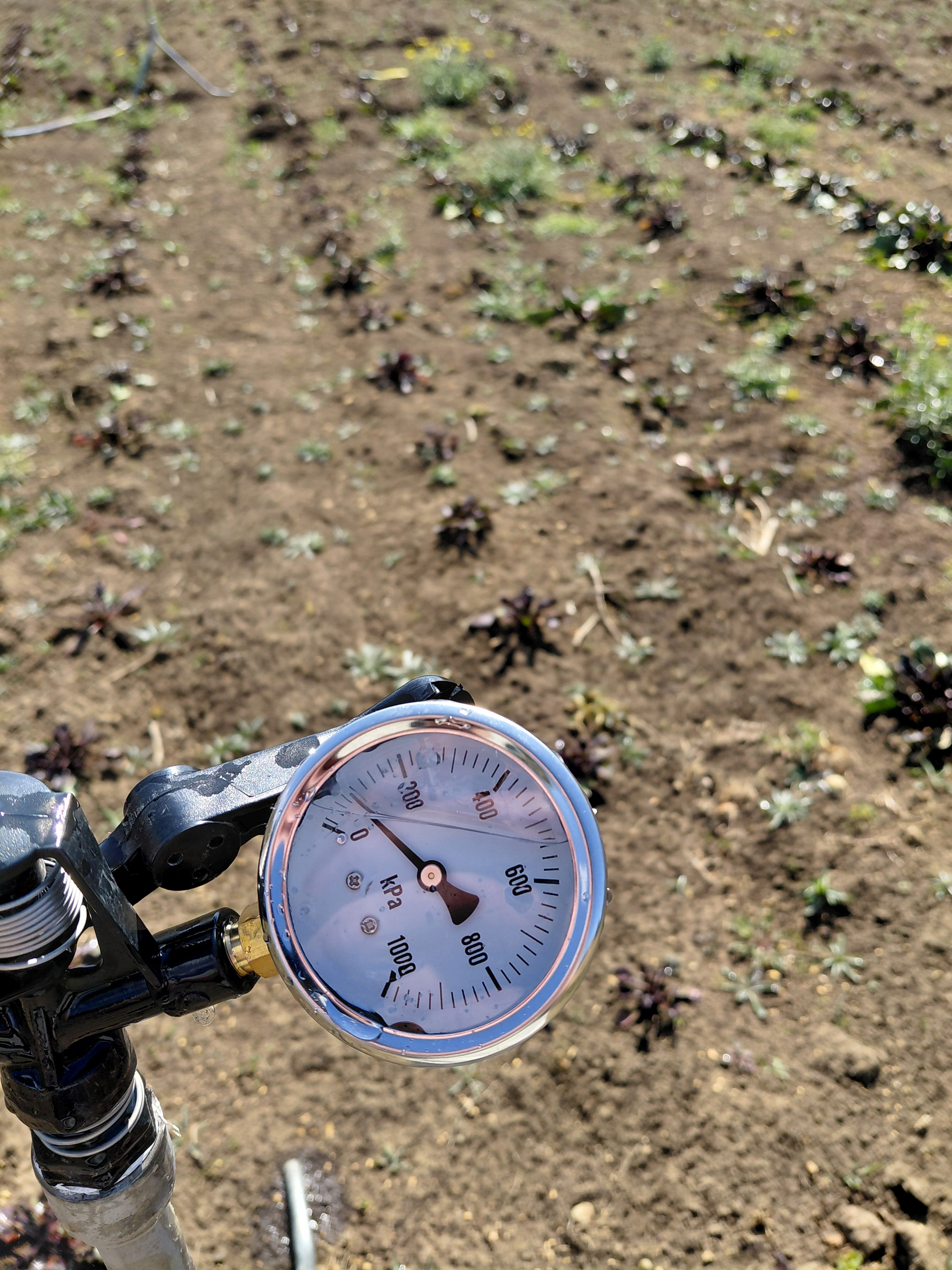 A pressuure gauge on a sprinkler